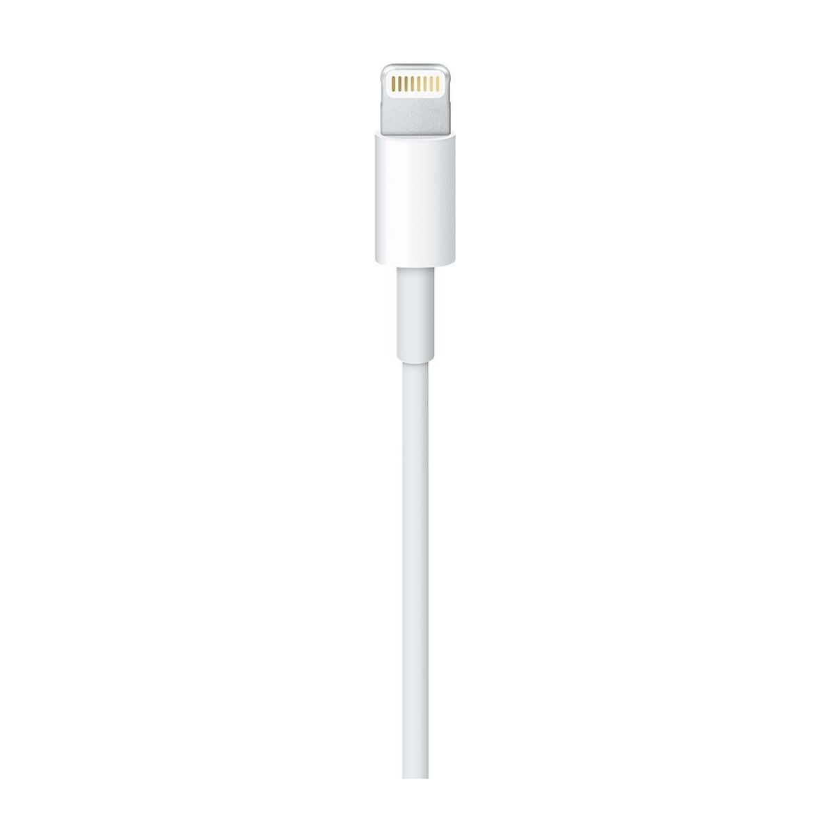 Cable USB a Lightning 2M Original (Caja)
