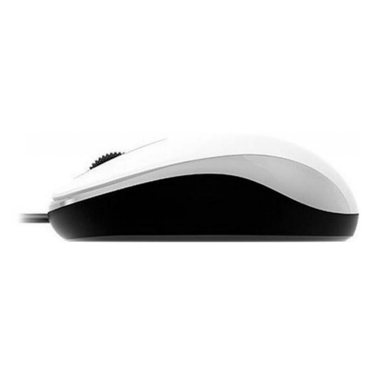 Mouse USB Dx-110 1000 DPI White Genius