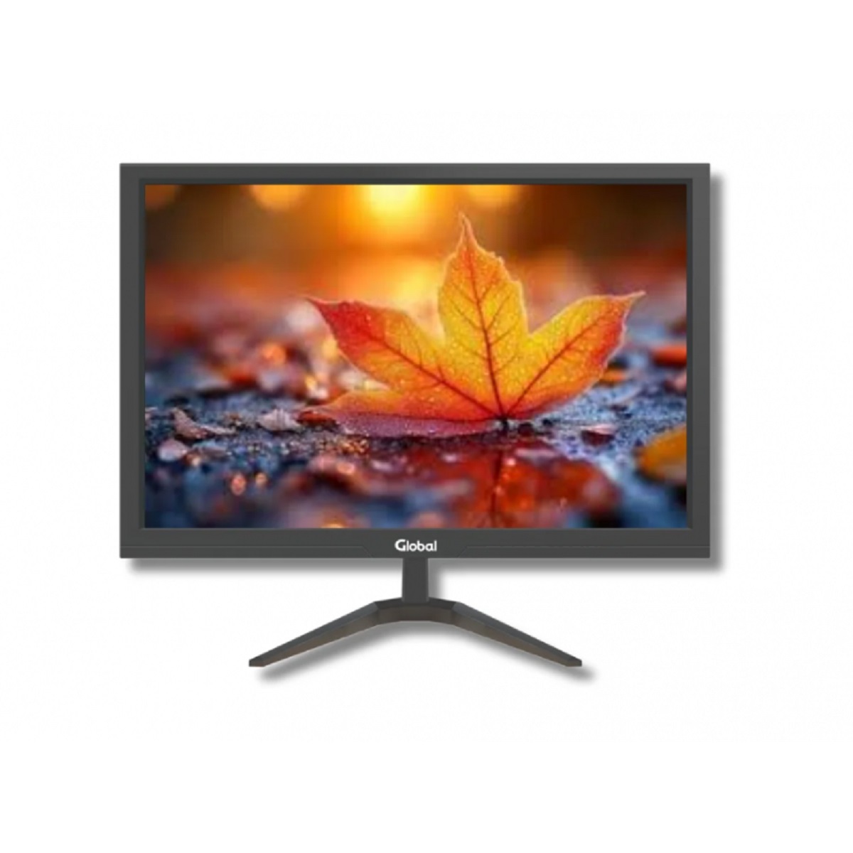 Mini Computadora Asus Celeron-8GB-SSD 256GB - Monitor 19