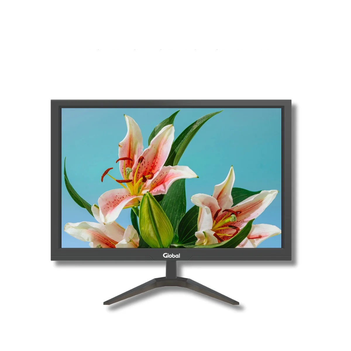 Monitor 21.5