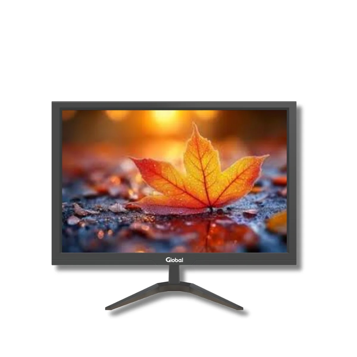 Monitor Led 19