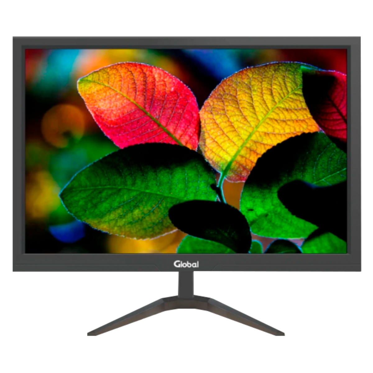 Monitor Led 19